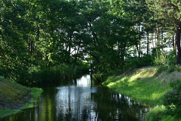 The complete beginner"s handbook to safe high-intensity interval training (hiit) in the uk